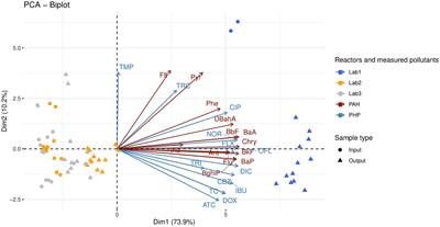 Occurrence of 40 sanitary indicators in French digestates derived from different anaerobic digestion processes and raw organic wastes from agricultural and urban origin